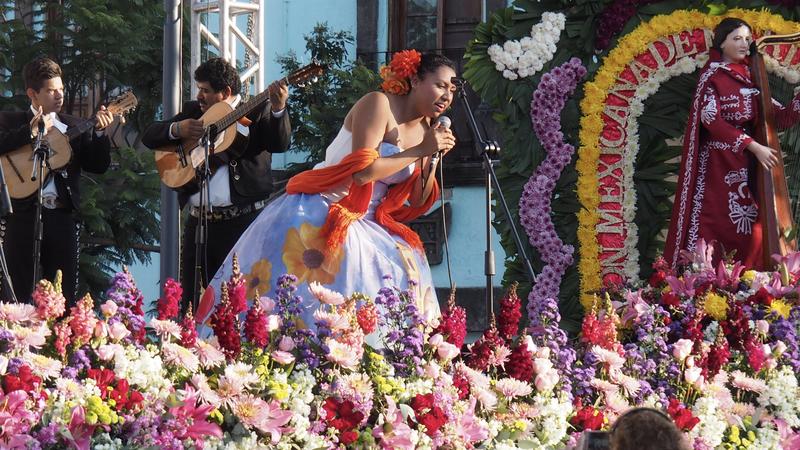 Actividades de la Festividad de Santa Cecilia en Elche