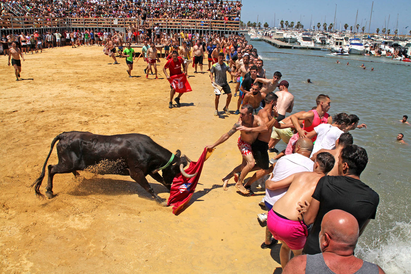 Bous al Mar en Alicante