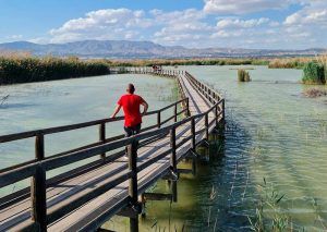 Cuál es la historia del Parque Natural El Hondo