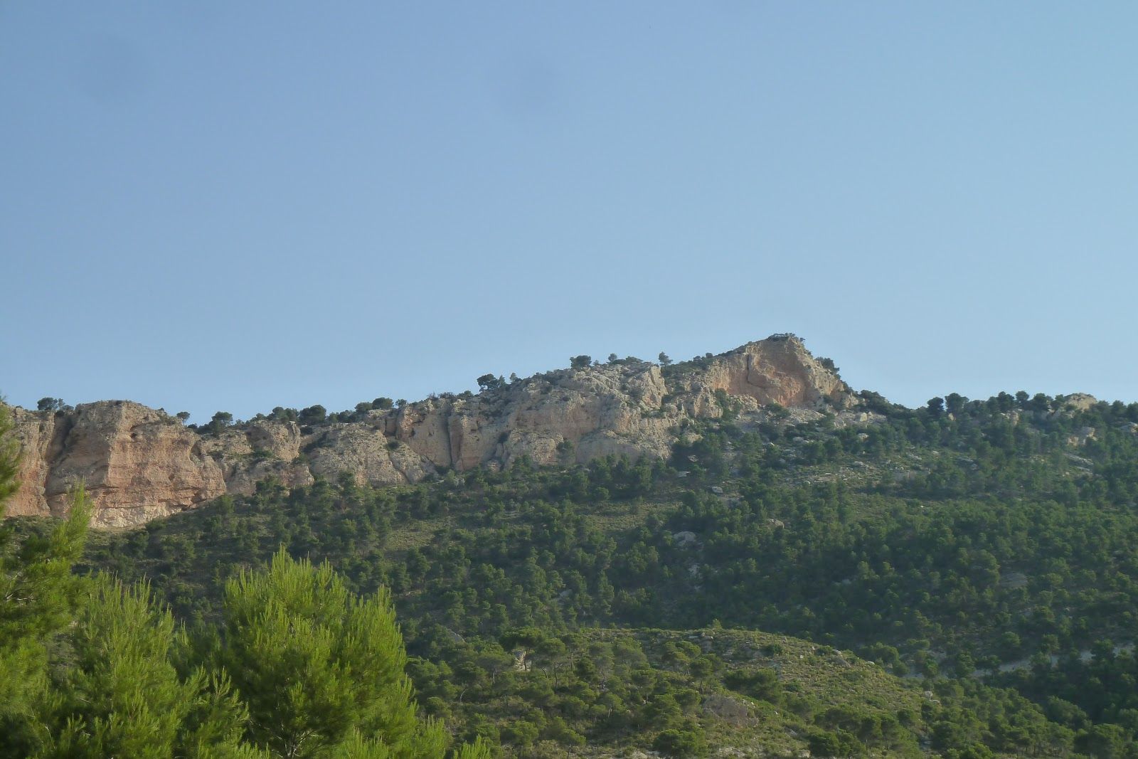  Despeñador desde Xorret de Catí