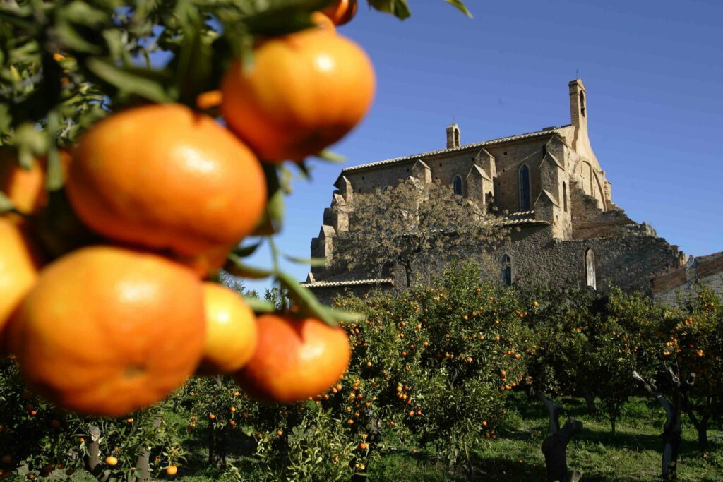 Actividades del Día de la Naranja en Burriana en Castellón 3 Ermita de Santa Barbara. Autor espaimenut.com