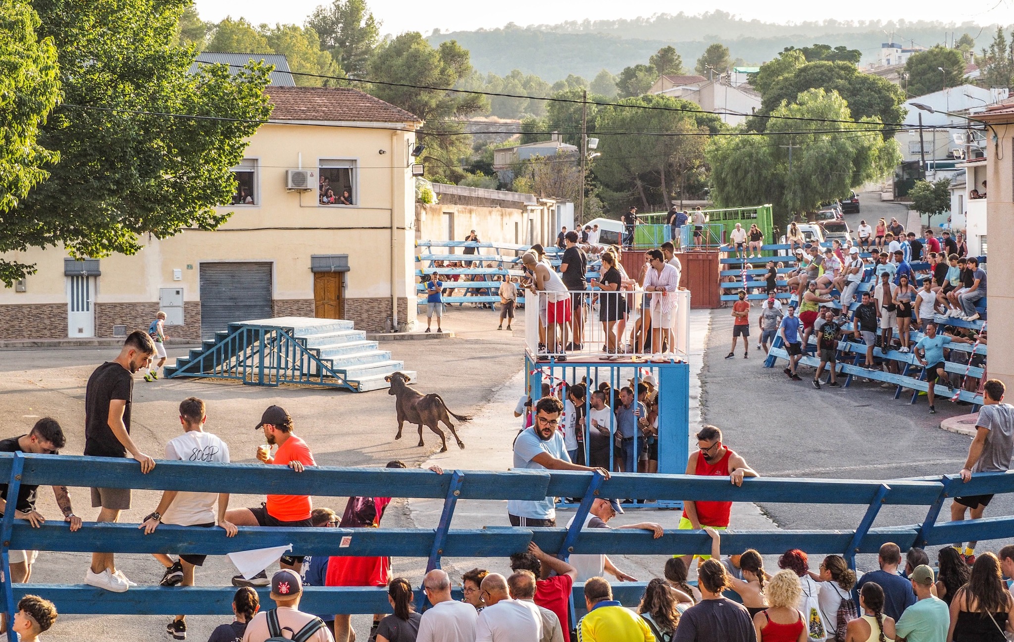 Fiestas patronales pedanias de Monovar 1