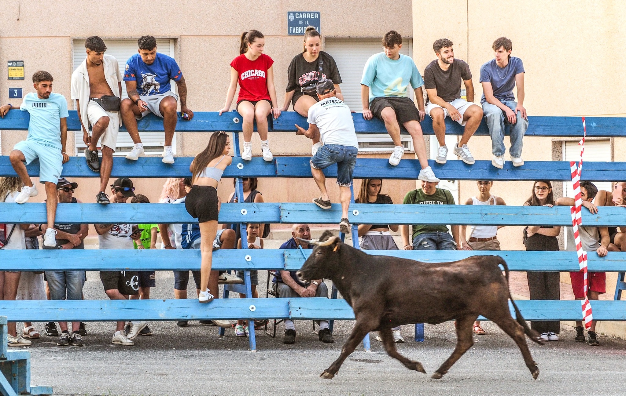 Fiestas patronales pedanias de Monovar 2