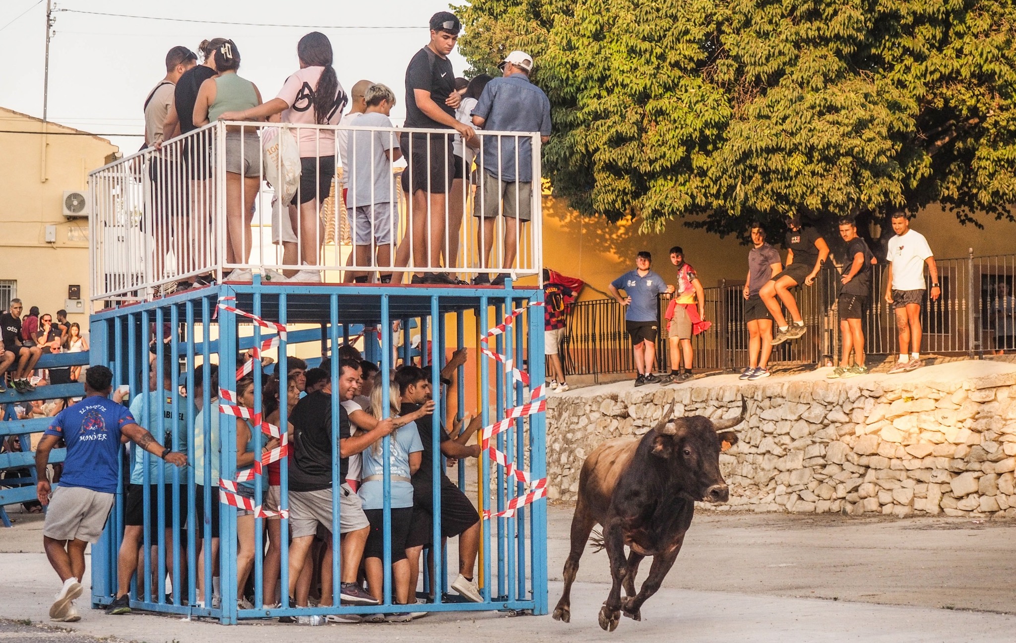 Fiestas patronales pedanias de Monovar 3