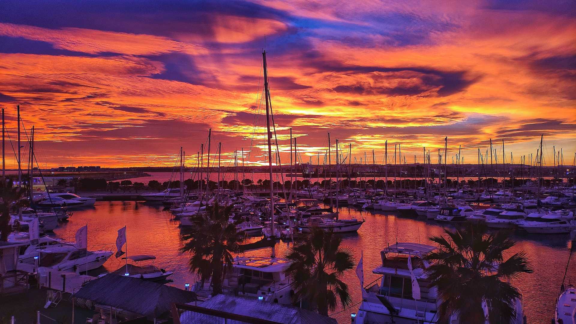 Visitar la Marina Salinas de Torrevieja Puerto 