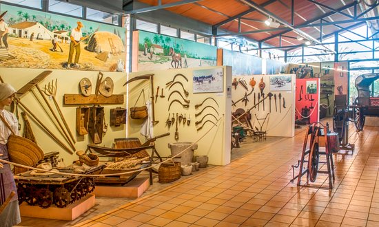 Museo Escolar de Puçol