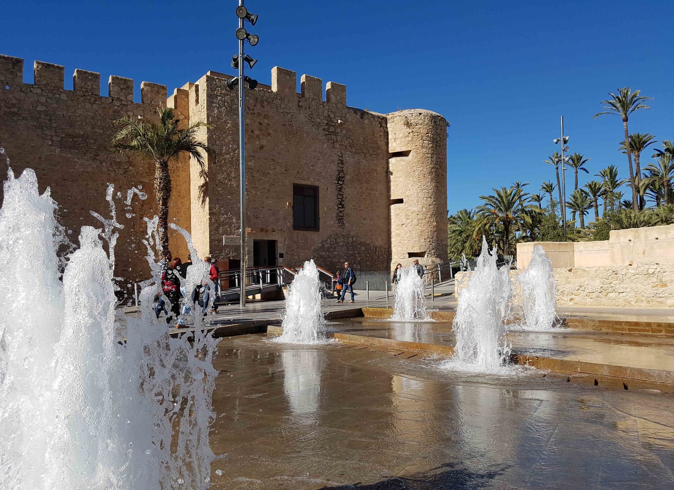 Pantano de Elche en Alicante 2 scaled e1677003388789