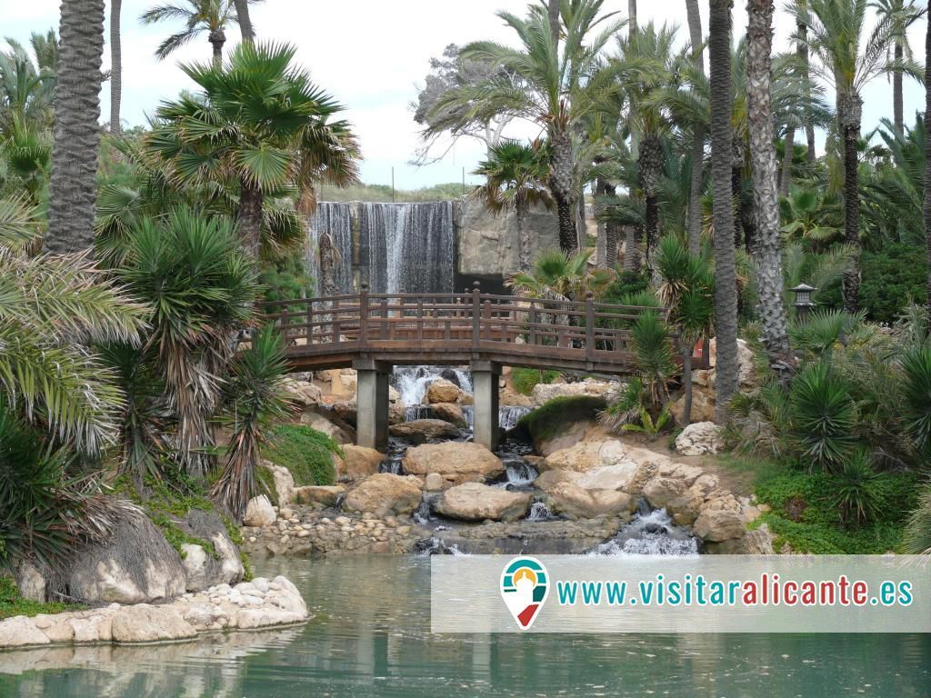 Parque El Palmeral 1