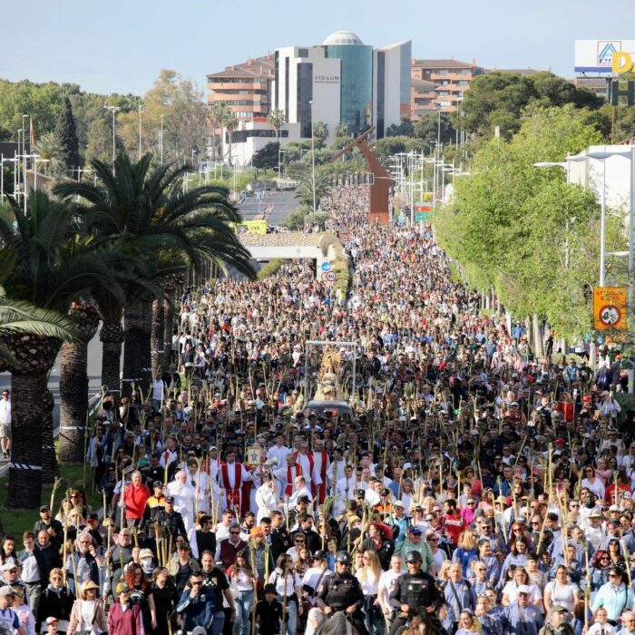 Romerias de mayo en Alicante
