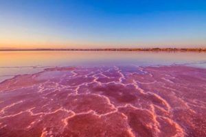 Mientras que la Laguna de Torrevieja está destinada exclusivamente a la producción de sal.