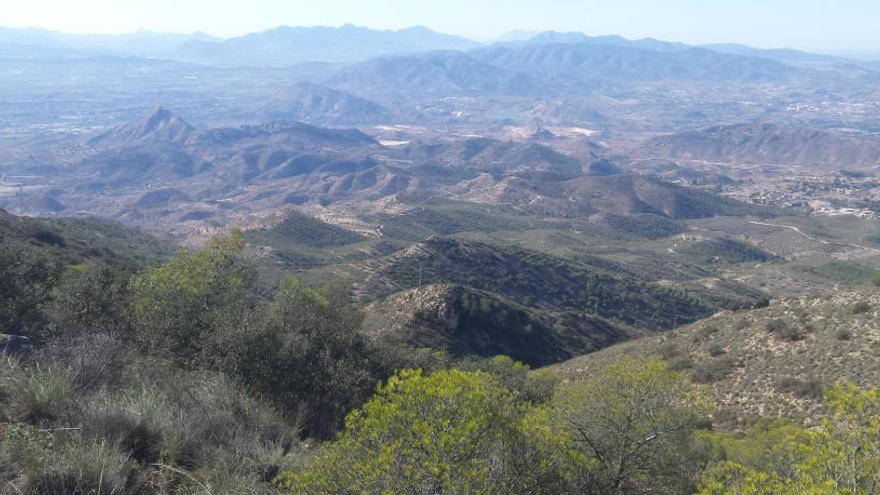 Ruta a los Chaparrales en la sierra del Cid