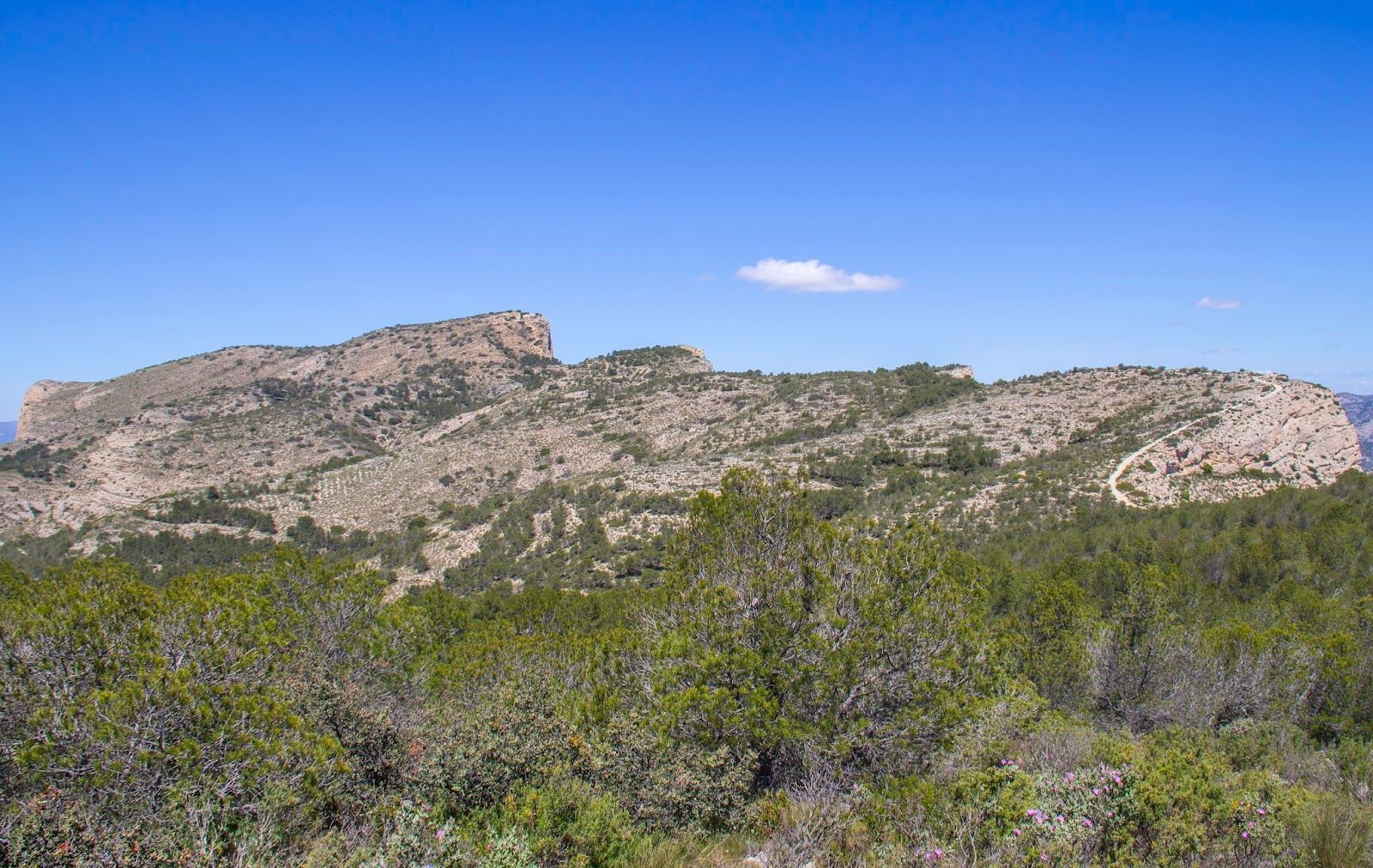 Ruta a los Chaparrales en la sierra del Cid