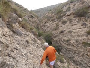 Ruta al Alto de Castro y barranco de Barbasena