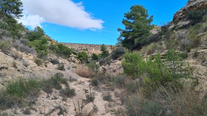 Ruta al Alto de Castro y barranco de Barbasena