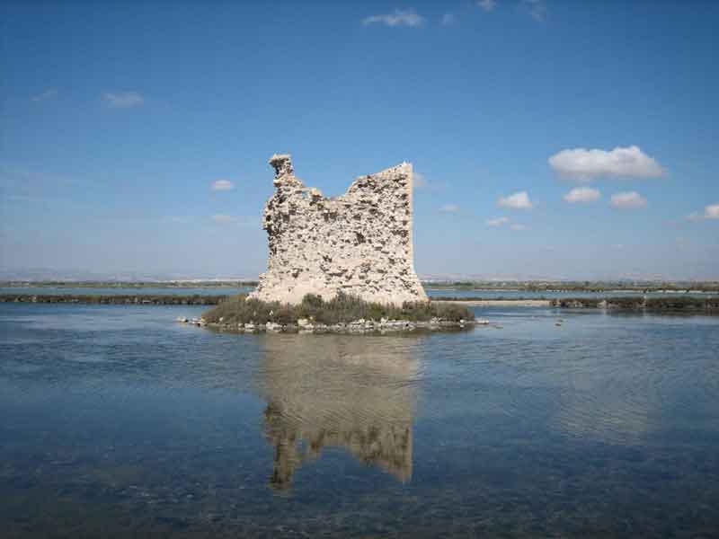 Salinas de Santa Pola