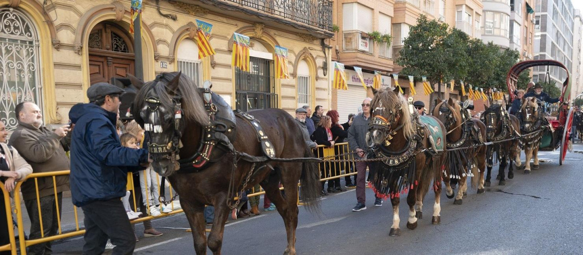 San Antonio Abad en la Comunidad Valenciana 1