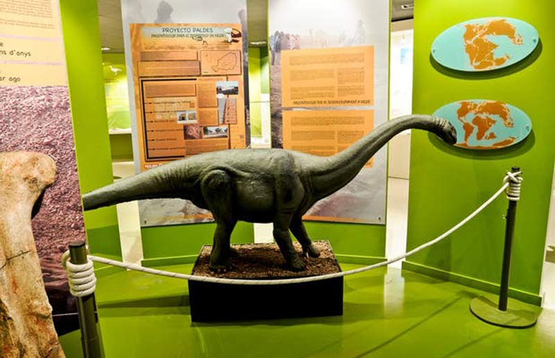 Visita con niños al Museo Paleontológico de Elche