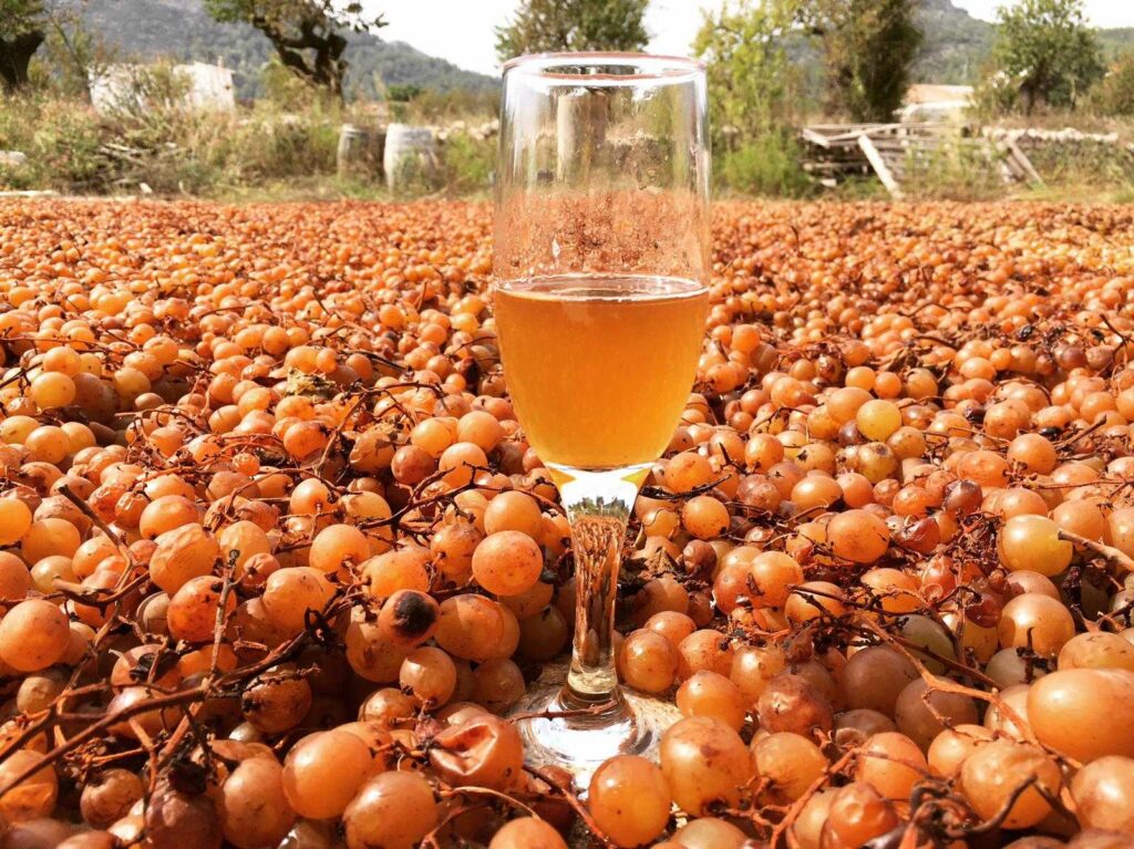Día del Romero en Jalón Alicante