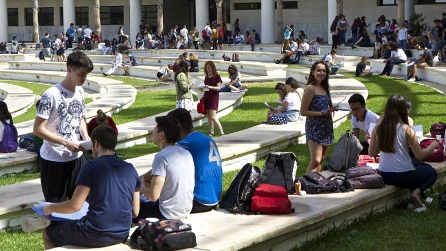 universidad de alicante