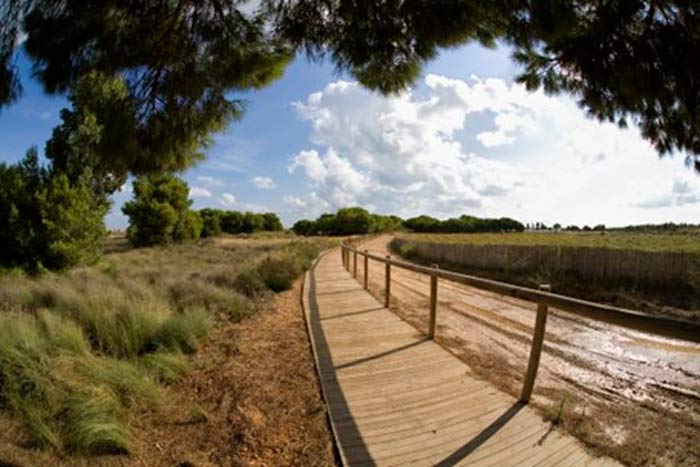 La Laguna Salada es uno de los principales atractivos naturales de Alicante