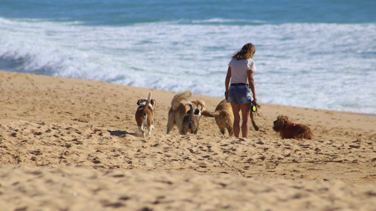  playa canina Cala Mosca