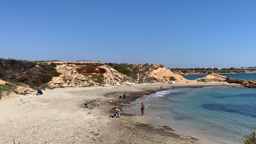  playa canina Cala Mosca