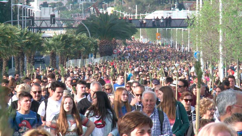 ¿Cómo llegar a la Santa Faz?