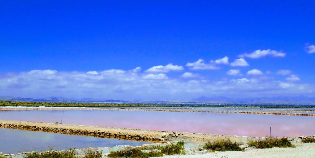 ruta a Salinas del Pinet