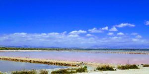 ruta a Salinas del Pinet