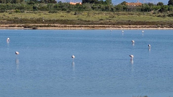 ruta a Salinas del Pinet